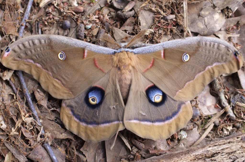 20150508_152517_DSC_4297