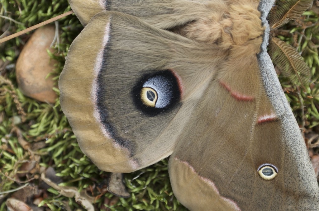 20150508_153029_DSC_4303