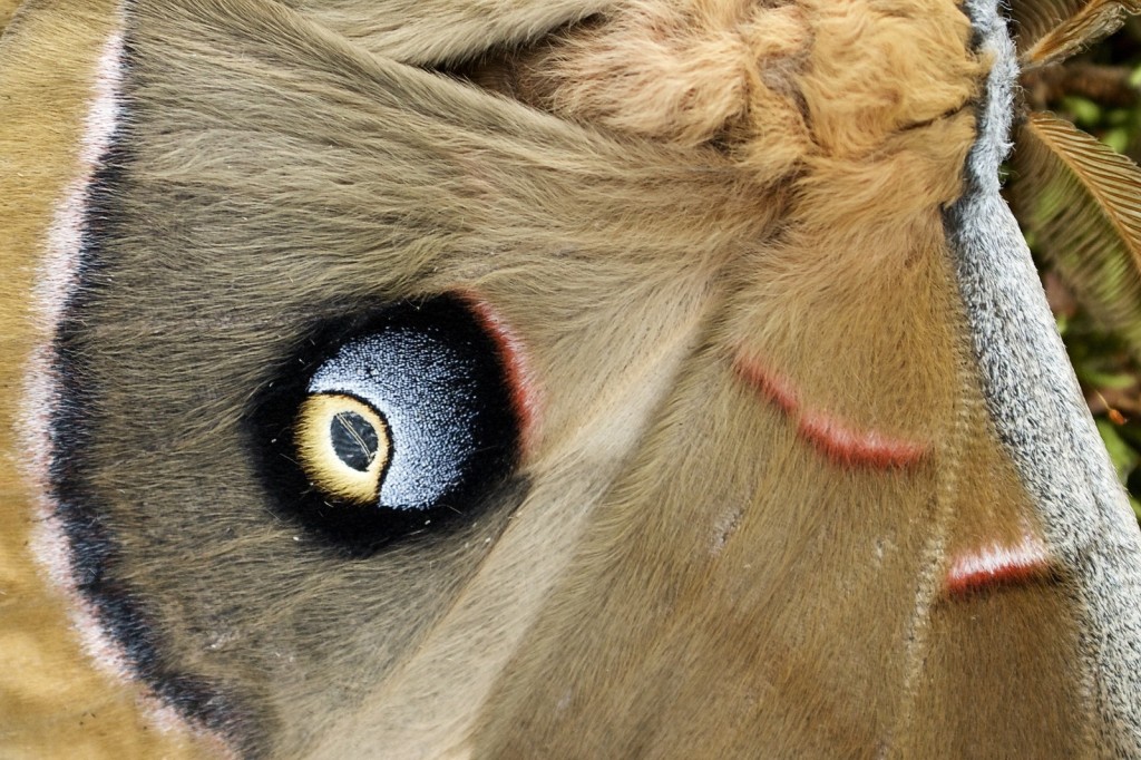 20150508_153037_DSC_4305