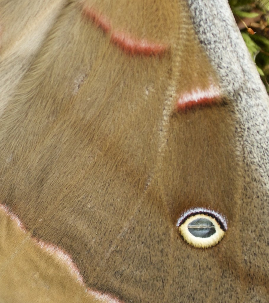 20150508_153056_DSC_4306