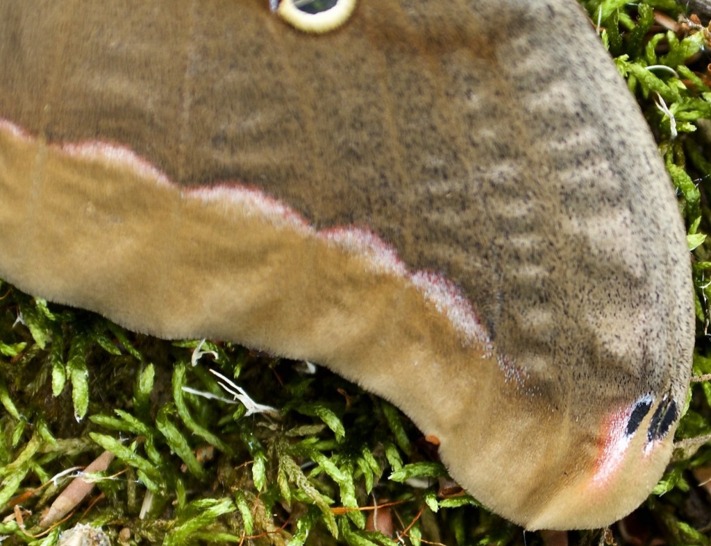 20150508_153140_DSC_4307